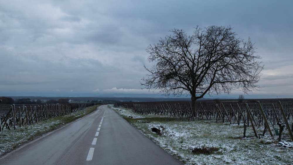 Route des vins