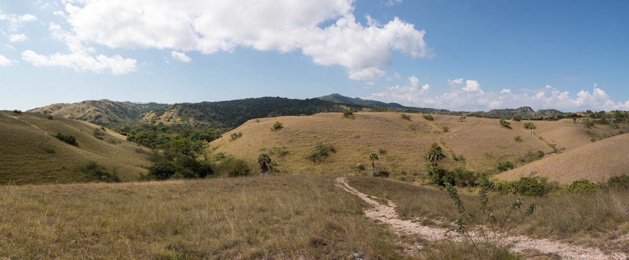 Rinca island