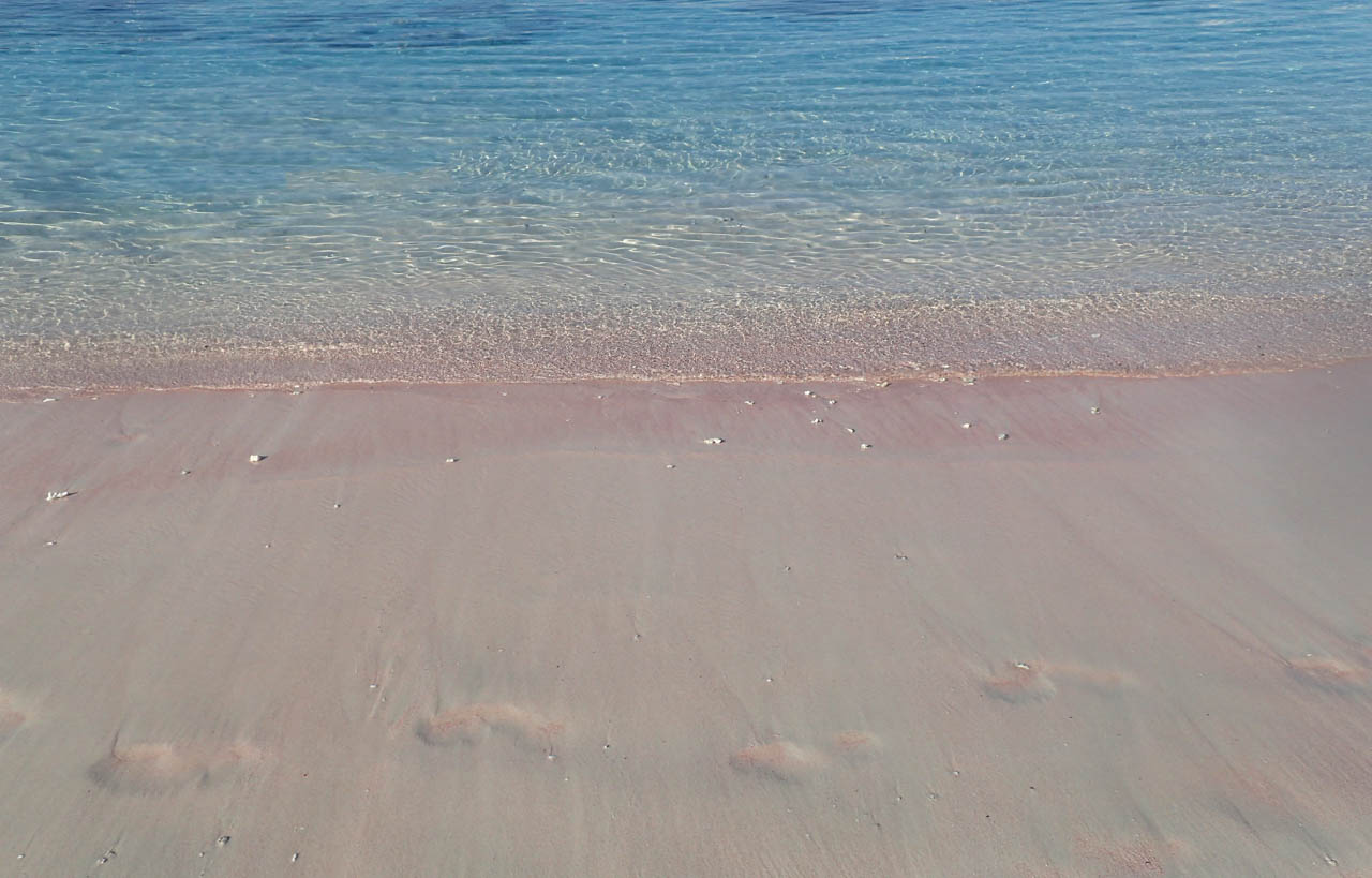 Pink beach