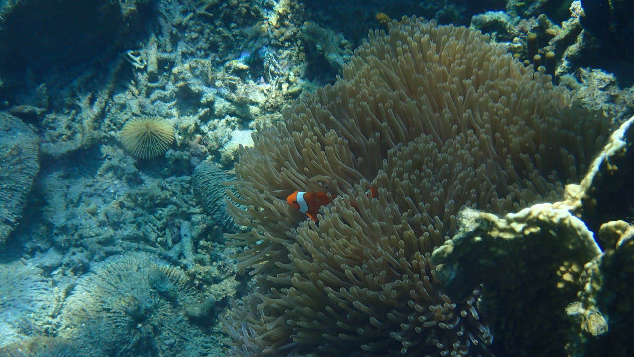 Satonda island