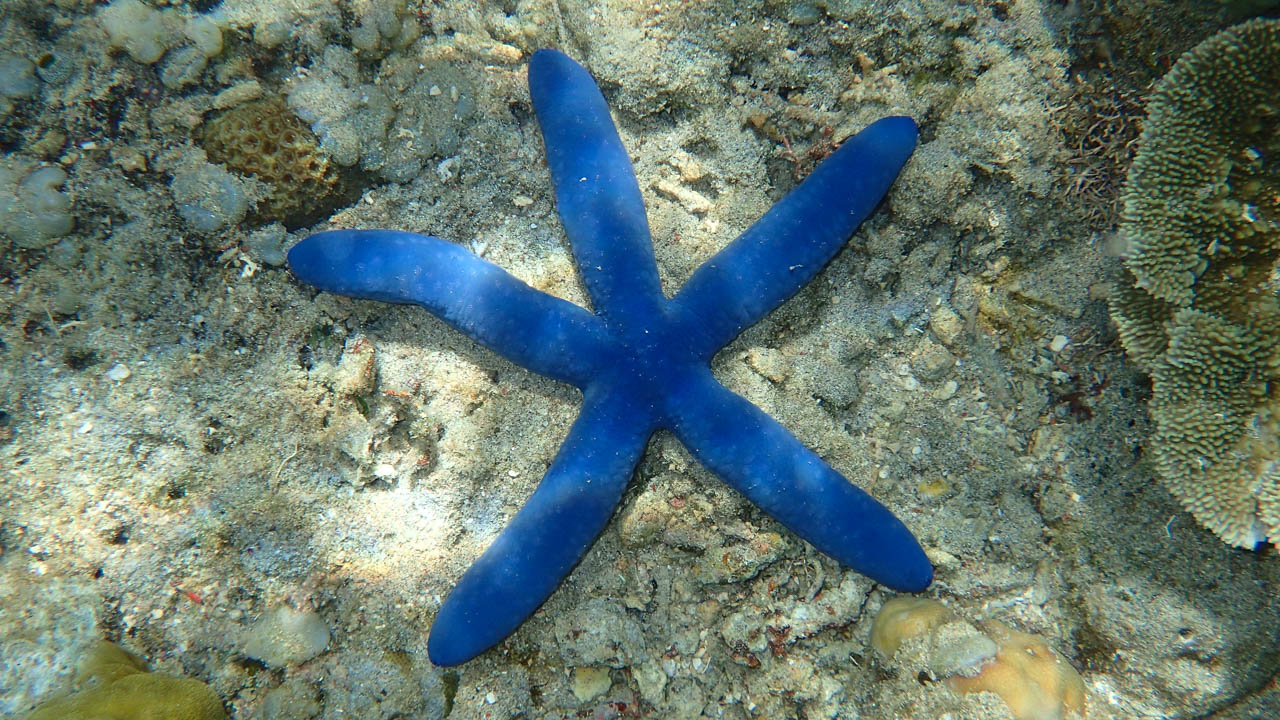 Satonda island